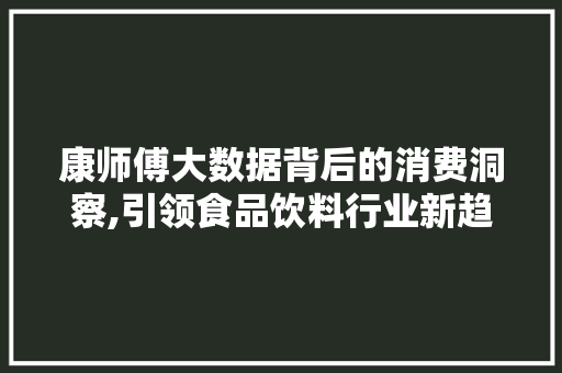 康师傅大数据背后的消费洞察,引领食品饮料行业新趋势