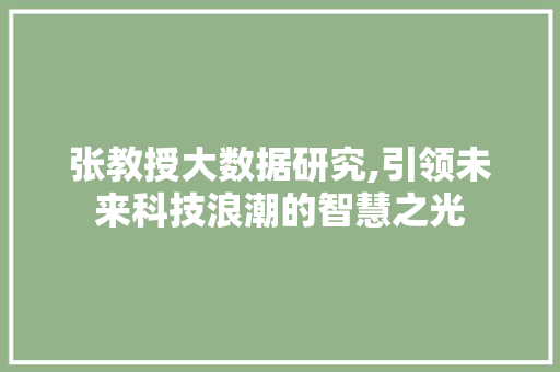 张教授大数据研究,引领未来科技浪潮的智慧之光