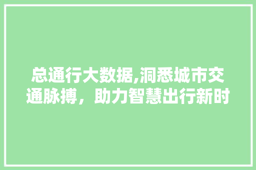 总通行大数据,洞悉城市交通脉搏，助力智慧出行新时代