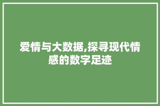 爱情与大数据,探寻现代情感的数字足迹