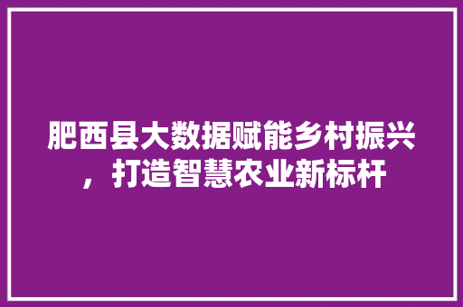 肥西县大数据赋能乡村振兴，打造智慧农业新标杆