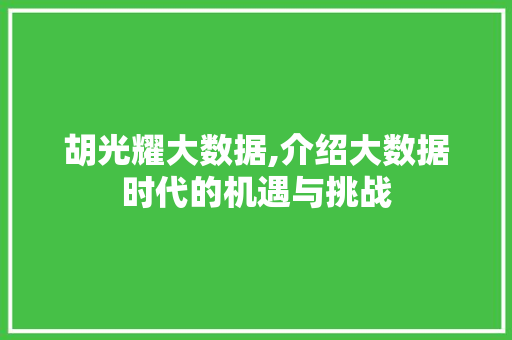 胡光耀大数据,介绍大数据时代的机遇与挑战
