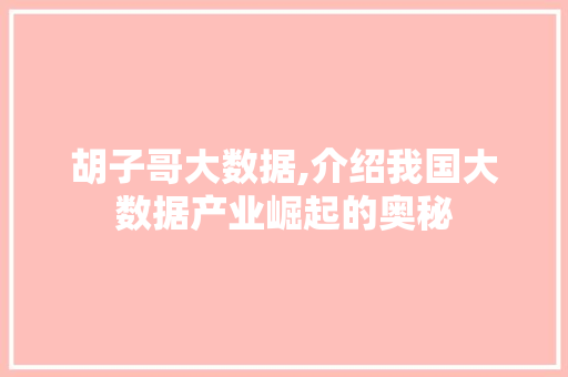 胡子哥大数据,介绍我国大数据产业崛起的奥秘 百度算法