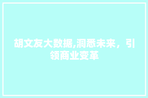 胡文友大数据,洞悉未来，引领商业变革 网站开发