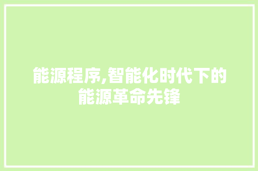 能源程序,智能化时代下的能源革命先锋