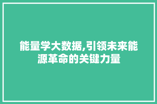 能量学大数据,引领未来能源革命的关键力量