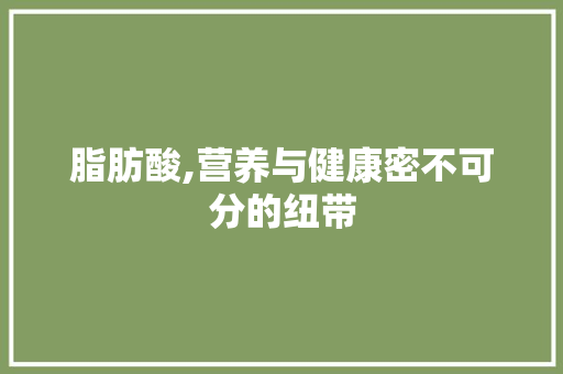 脂肪酸,营养与健康密不可分的纽带 360搜优化
