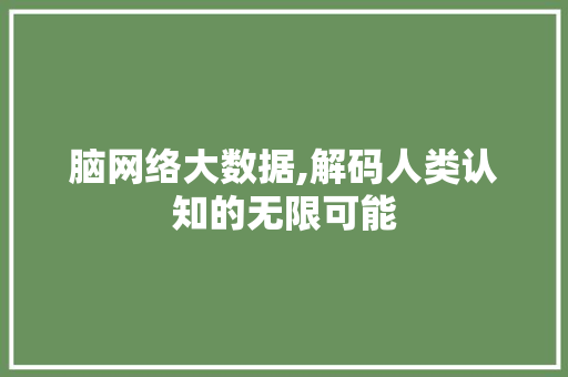 脑网络大数据,解码人类认知的无限可能