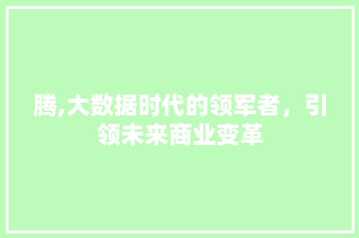 腾,大数据时代的领军者，引领未来商业变革