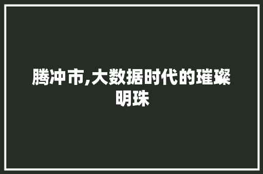 腾冲市,大数据时代的璀璨明珠 网站开发
