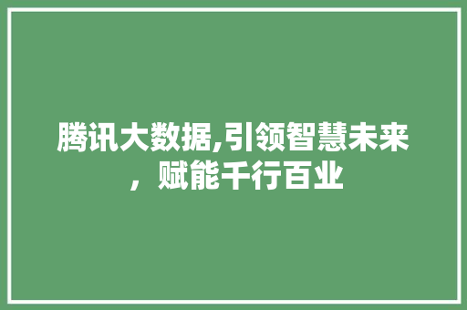 腾讯大数据,引领智慧未来，赋能千行百业