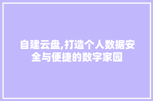 自建云盘,打造个人数据安全与便捷的数字家园