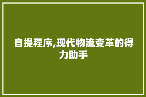 自提程序,现代物流变革的得力助手