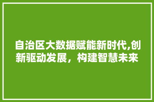 自治区大数据赋能新时代,创新驱动发展，构建智慧未来