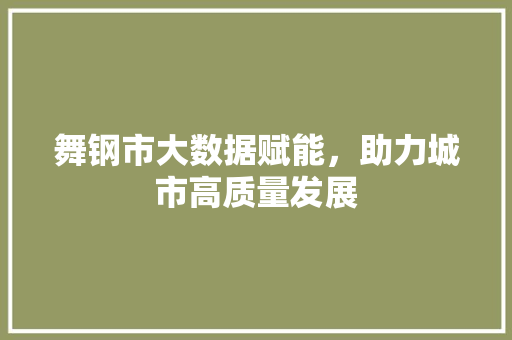 舞钢市大数据赋能，助力城市高质量发展