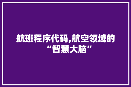 航班程序代码,航空领域的“智慧大脑” 网站开发