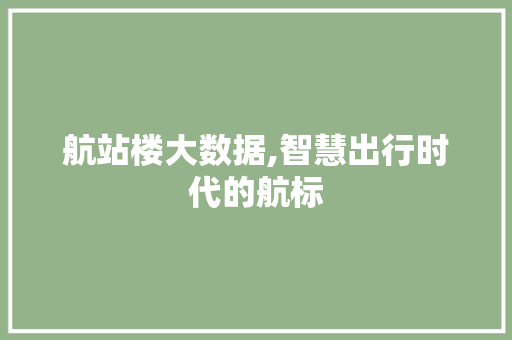 航站楼大数据,智慧出行时代的航标