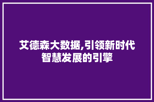 艾德森大数据,引领新时代智慧发展的引擎