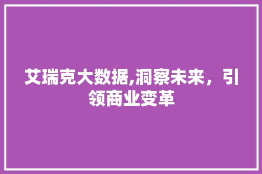 艾瑞克大数据,洞察未来，引领商业变革