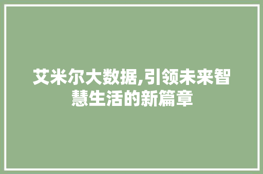 艾米尔大数据,引领未来智慧生活的新篇章