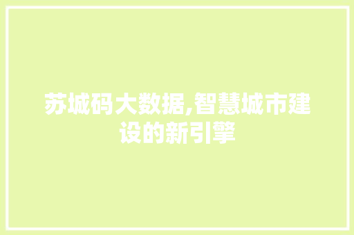 苏城码大数据,智慧城市建设的新引擎