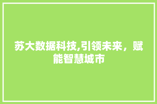 苏大数据科技,引领未来，赋能智慧城市