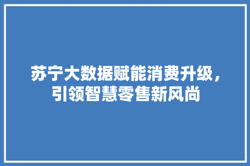 苏宁大数据赋能消费升级，引领智慧零售新风尚