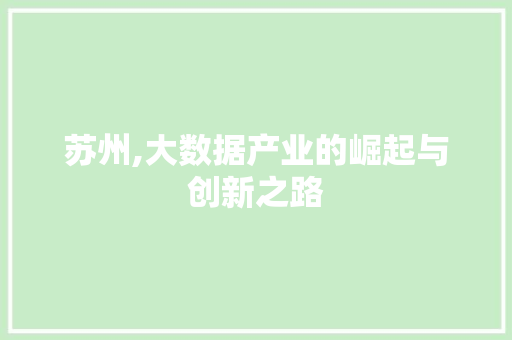 苏州,大数据产业的崛起与创新之路