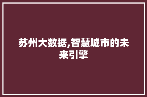 苏州大数据,智慧城市的未来引擎