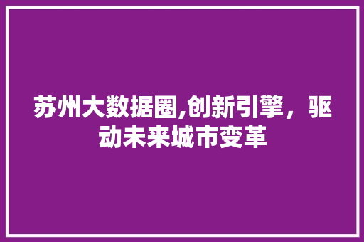苏州大数据圈,创新引擎，驱动未来城市变革