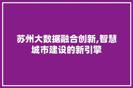 苏州大数据融合创新,智慧城市建设的新引擎 英文谷歌算法
