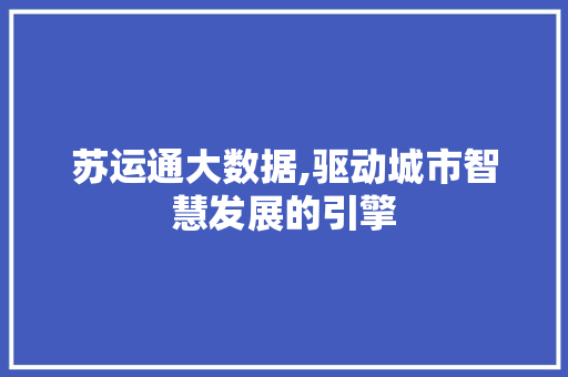 苏运通大数据,驱动城市智慧发展的引擎