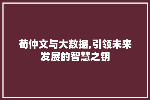 苟仲文与大数据,引领未来发展的智慧之钥