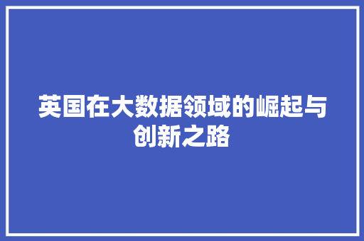 英国在大数据领域的崛起与创新之路