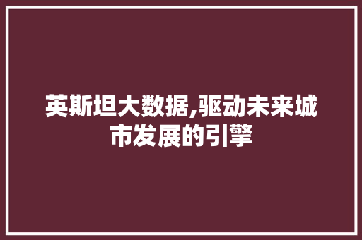 英斯坦大数据,驱动未来城市发展的引擎