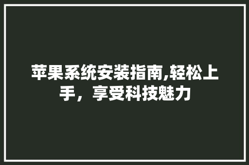 苹果系统安装指南,轻松上手，享受科技魅力 seo技术