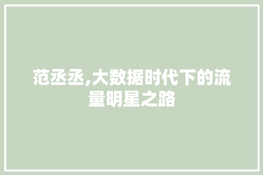 范丞丞,大数据时代下的流量明星之路