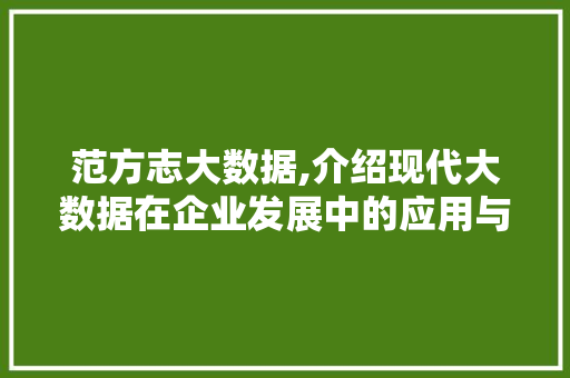 范方志大数据,介绍现代大数据在企业发展中的应用与价值