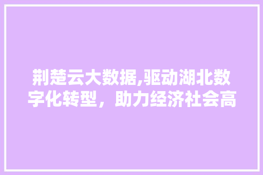 荆楚云大数据,驱动湖北数字化转型，助力经济社会高质量发展