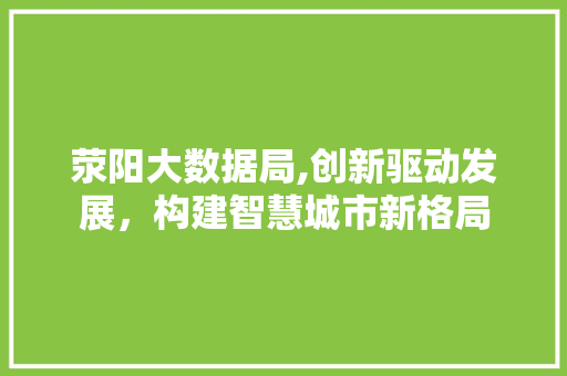 荥阳大数据局,创新驱动发展，构建智慧城市新格局 seo技术