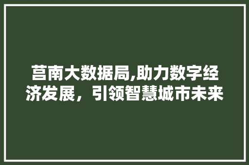 莒南大数据局,助力数字经济发展，引领智慧城市未来