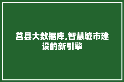 莒县大数据库,智慧城市建设的新引擎