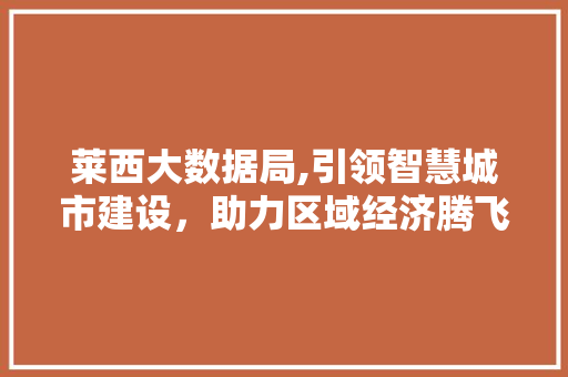 莱西大数据局,引领智慧城市建设，助力区域经济腾飞
