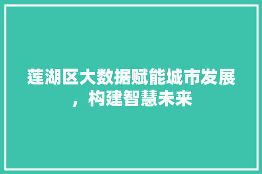 莲湖区大数据赋能城市发展，构建智慧未来