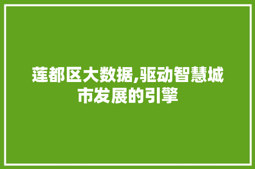 莲都区大数据,驱动智慧城市发展的引擎