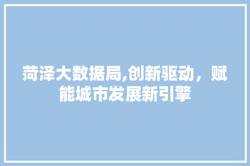 菏泽大数据局,创新驱动，赋能城市发展新引擎