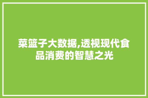 菜篮子大数据,透视现代食品消费的智慧之光 小程序开发
