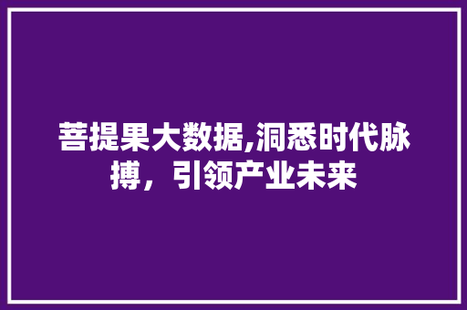 菩提果大数据,洞悉时代脉搏，引领产业未来 搜狗优化