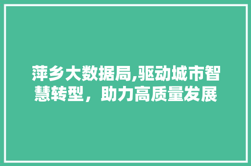 萍乡大数据局,驱动城市智慧转型，助力高质量发展