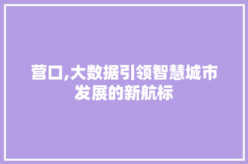 营口,大数据引领智慧城市发展的新航标